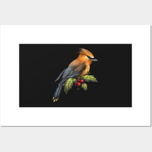 Holiday Bird Cedar Waxwing Posters and Art